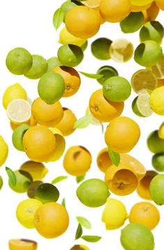 Falling citrus on vertical background Stock Photos