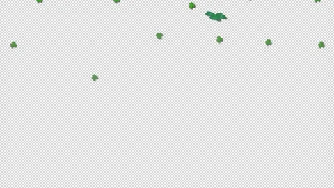 Falling clover leafs. St patrick's day motion.  Alpha channel. Stock Footage 147437805