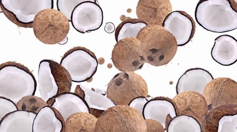 Falling Coconuts as background video (with alpha) Video stock 22542342