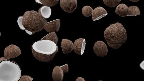 Falling coconuts on a black background Video stock 111813627