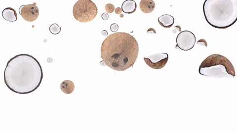 Falling coconuts Video stock 22459094