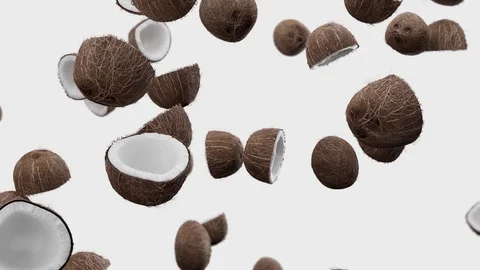 Falling coconuts on a white background Video stock 111814276