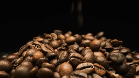 Falling Coffee Bean.. Close-up. Stock Footage 108816592