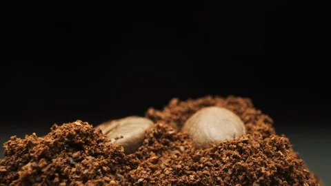 Falling Coffee Bean. Ground Coffee. Close-up. Vídeos de archivo 108785879