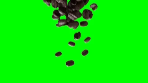 Falling coffee beans animation green screen background Video stock 114518584
