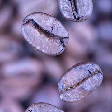 Falling coffee beans closeup Stock Photos