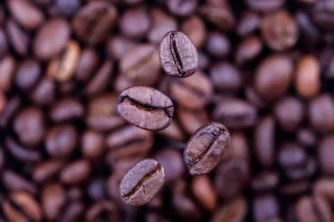 Falling coffee beans closeup Stock Photos