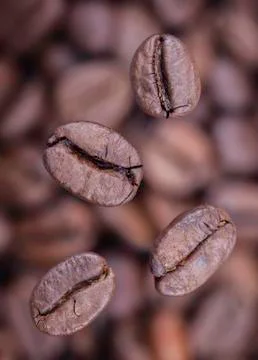 Falling coffee beans closeup Stock Photos