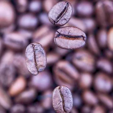 Falling coffee beans closeup Stock Photos