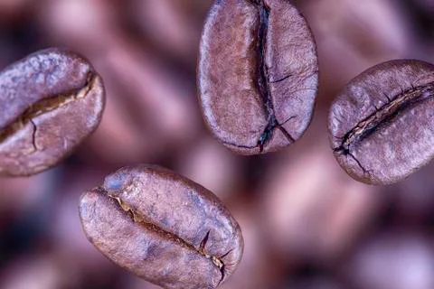 Falling coffee beans closeup Stock Photos
