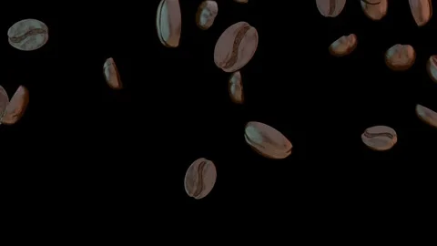 Falling coffee beans isolated with an alpha channel Stock Footage 255651893