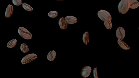 Falling coffee Beans loop isolated with an alpha channel Stock Footage 255651867
