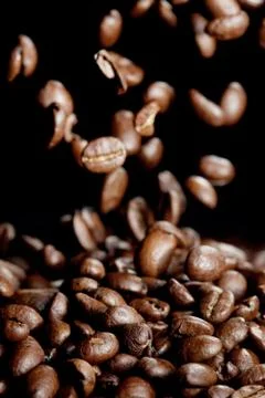 Falling coffee beans Stock Photos