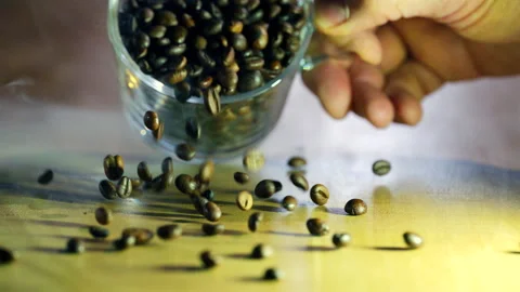 Falling coffee beans in slow motion Stock Footage 324803247