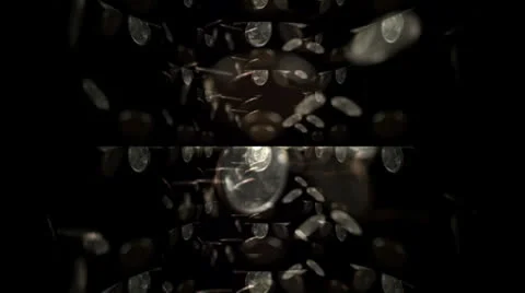 Falling Coins Motion Mapping Видео 24711891