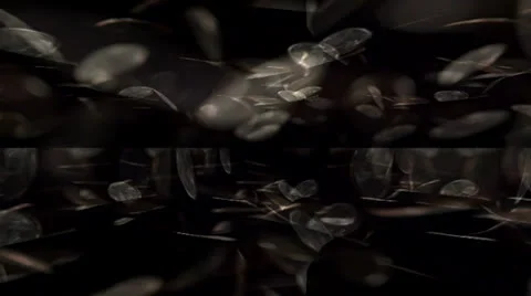 Falling Coins Motion Mapping Stock Footage 24711918