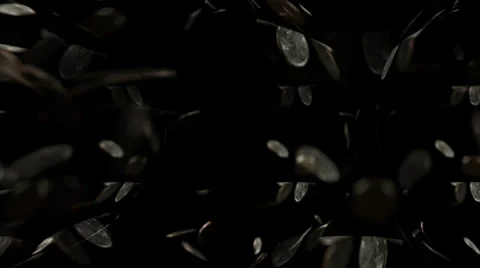 Falling Coins Motion Mapping 動画素材 24711925