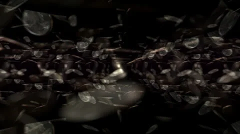 Falling Coins Motion Mapping Видео 24711948