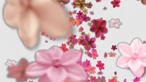 Falling Colorful Flowers - Overlay Stock Footage 332294477