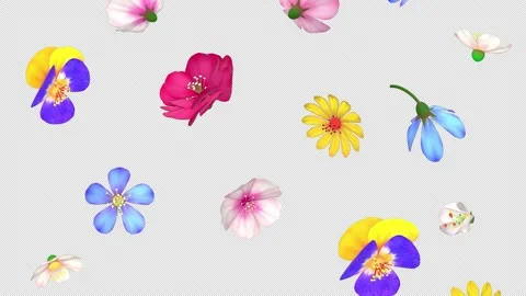 Flowers Falling Stock Video Footage | Royalty Free Flowers Falling Videos |  Pond5