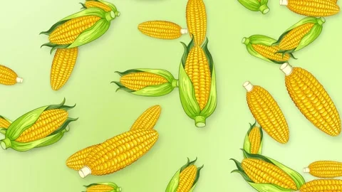 Falling Corn Cobs Animation on Light Green Mesh Background Stock Footage 344848545