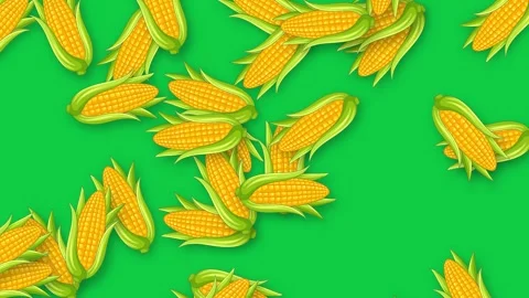 Falling Corn Cobs Animation on Vibrant Green Background Stock Footage 339516359