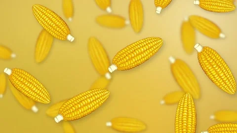 Falling Corn Cobs Animation on Yellow Gradient Mesh Background Stock Footage 342488852