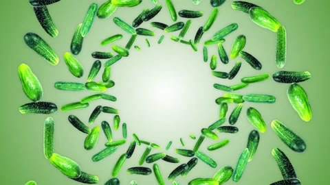 Falling Cucumber Background, with Alpha Channel, Loop Vídeo Stock 154259712