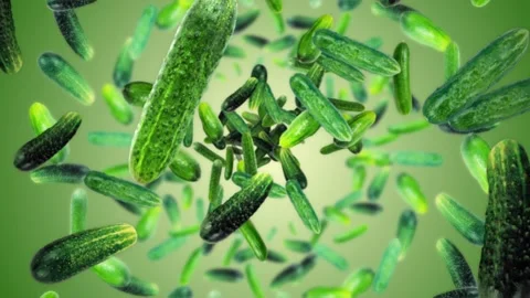 Falling Cucumbers Background, with Alpha Matte, Loop Stock Footage 169668973