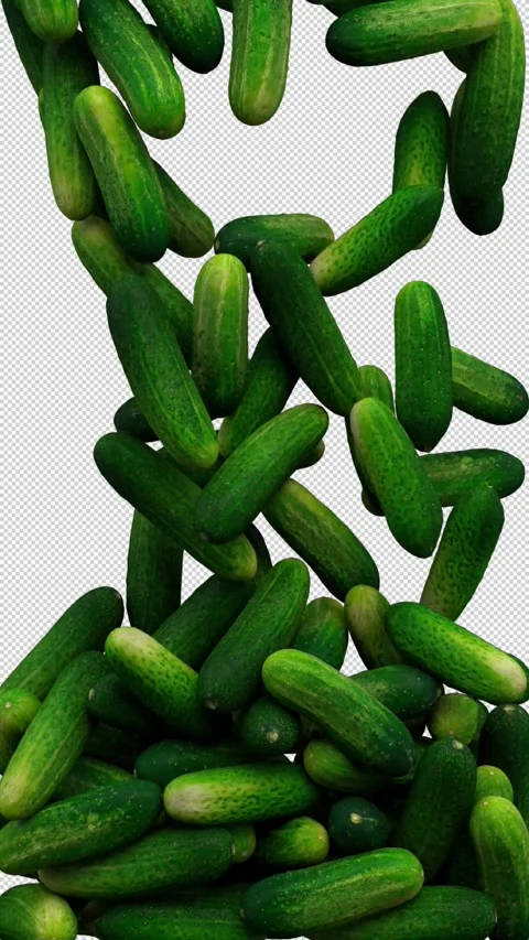 Falling cucumbers transition – 3d render with alpha channel. Stock Footage 340971831