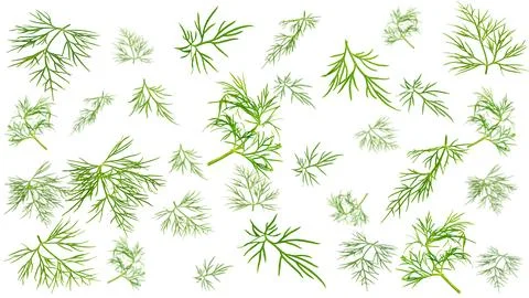 Falling dill isolated on white background Stock Photos