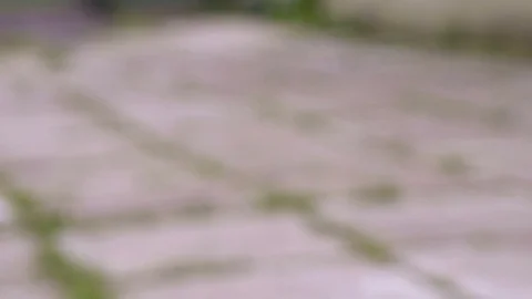 Falling dollars on the pavement, sidewalk Video stock 79499921