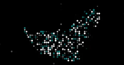 Falling Dot Silhouette of United Arab Emirates Stock Footage 314221279