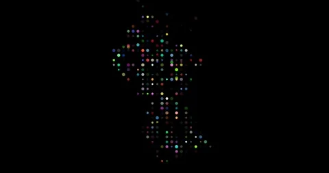 Falling Dots Assemble Guyana Silhouette Animation Stock Footage 321299518