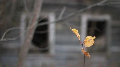 Falling Down House Stock Footage 32372668