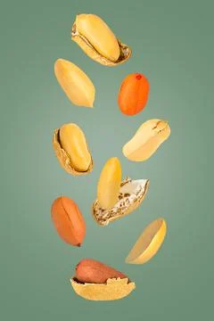 Falling down peanut isolated on trendy coloured background Stock Photos
