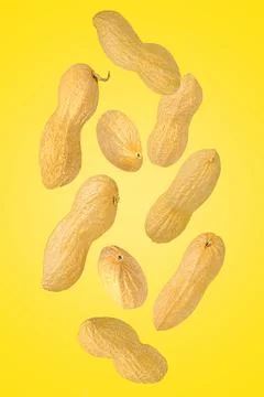 Falling down peanut in shell isolated on yellow Stock Photos
