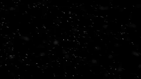 Falling down real snowflakes, heavy snow, snowstorm weather Stock Footage 80755013