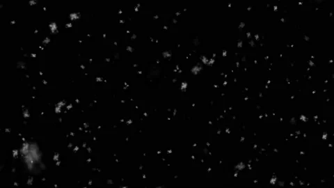Falling down real snowflakes, heavy snow, snowstorm weather, shot on black Stock Footage 106853684