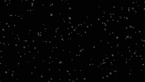Falling down in slow motion real snowflakes, calm snow, on black background Stock Footage 115526006