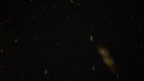 Falling down snow Stock Footage 76020696