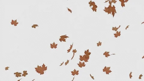 Falling Dried leaves - Alpha Channel - LOOP Stock Footage 149529856