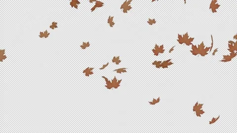 Falling Dried leaves - Alpha Channel Stock Footage