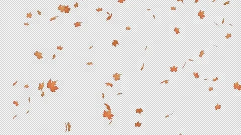 Falling Dried Leaves - Slow Motion - Alpha Channel Stock Footage 149501359