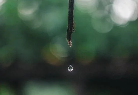 Falling drop of water after rain Stock Photos