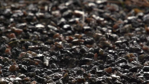 A falling drop of water breaks on the pebbles, forming many small splashes. Stock Footage 103690420