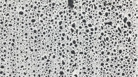 Falling drops of of black paint and the formation of streams on a white surface Stock Footage