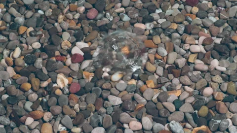 Falling Drops of Clean Water 4K Stock Footage 237766398