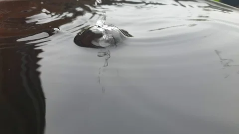 Falling drops in the close-up in a barrel slow motion. Stock-Footage 107564060