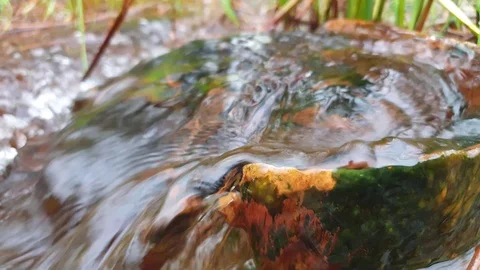 Falling drops in the close-up in a barrel slow motion. Stock Footage 107568235